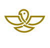 detailing4